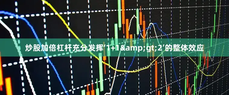 炒股加倍杠杆充分发挥‘1+1&gt;2’的整体效应