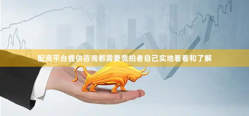 配资平台提供咨询都需要竞拍者自己实地看看和了解